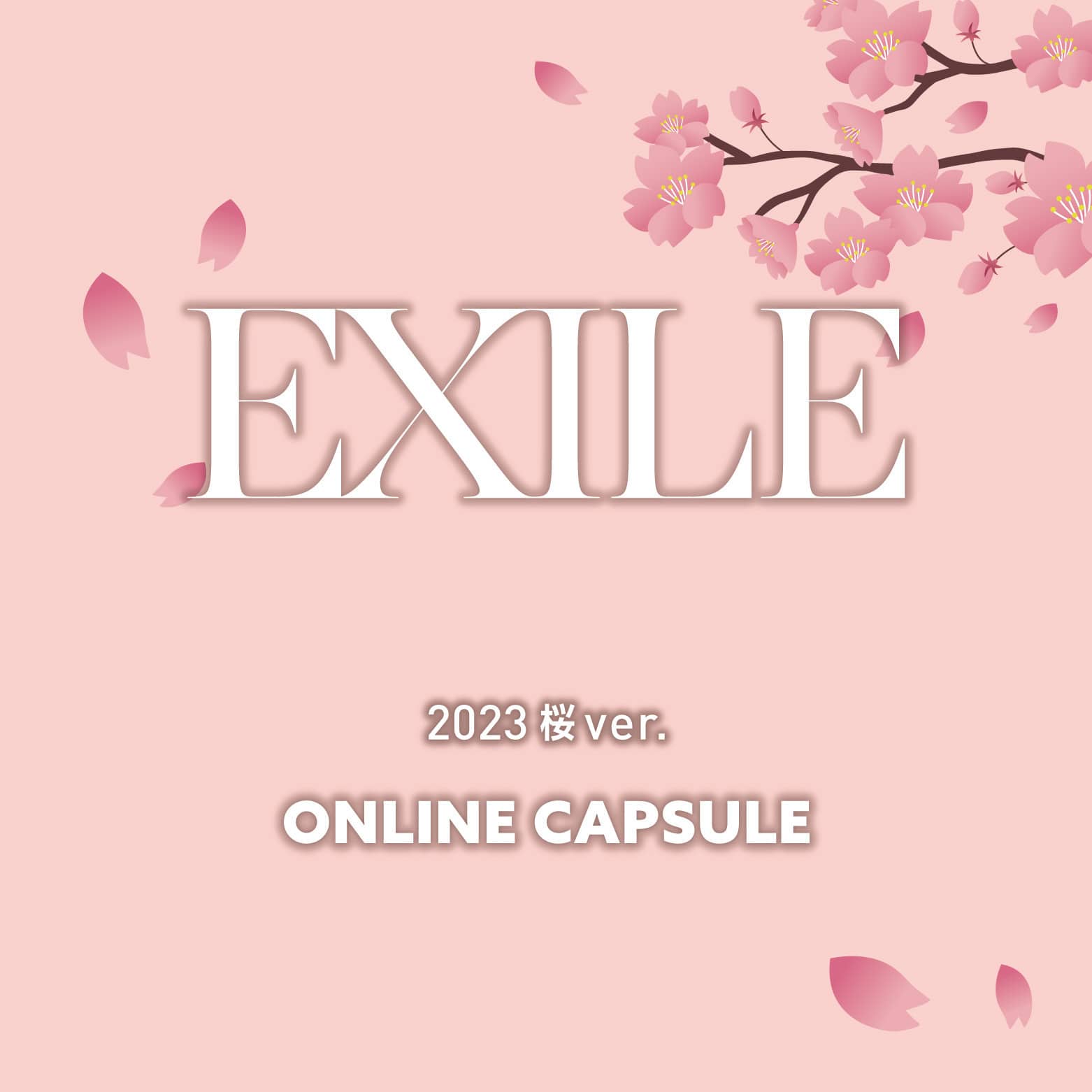 EXILE 2023桜
