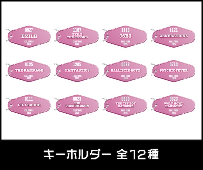 EXILE THE SECOND LIVE TOUR 2024 